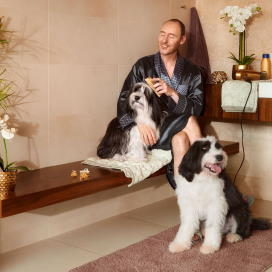 Mann mit Hunden