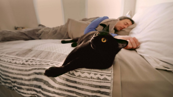 Mann liegt entspannt mit seiner schwarzen Katze im Bett